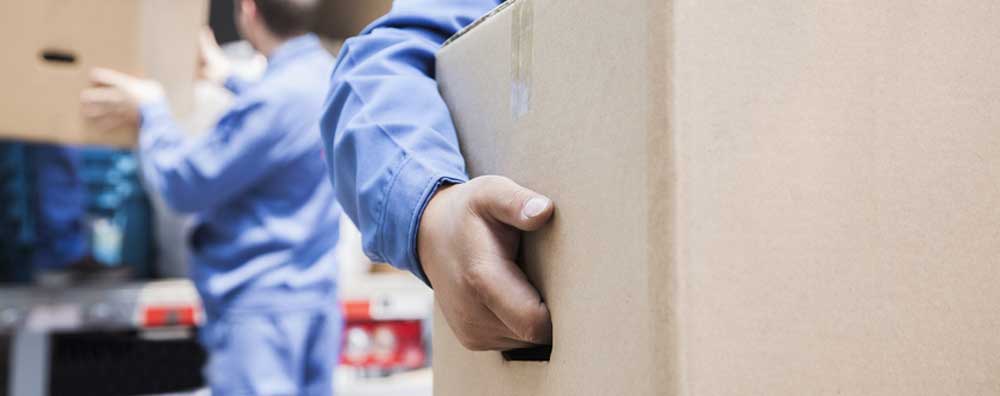 Worker carrying a box